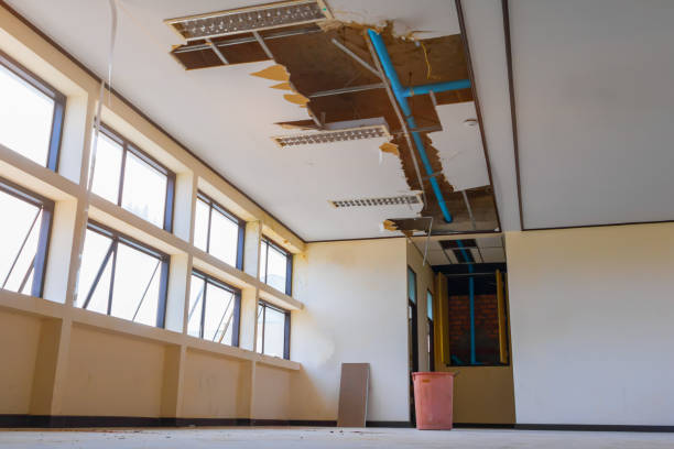 Best Flood restoration services  in Ball Pond, CT
