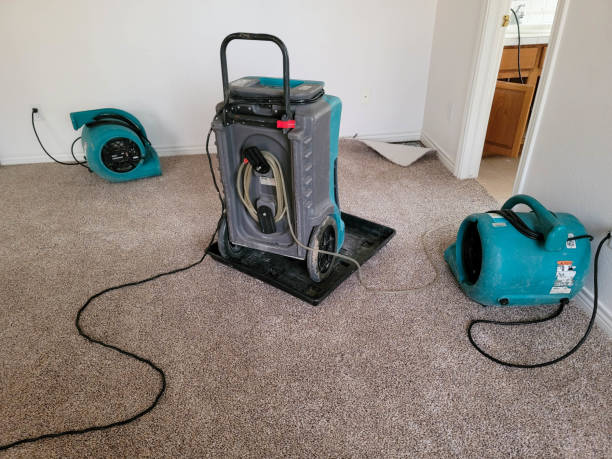Professional Water damage restoration in Ball Pond, CT