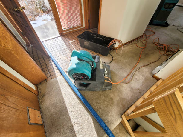 Best Water damage restoration cost  in Ball Pond, CT