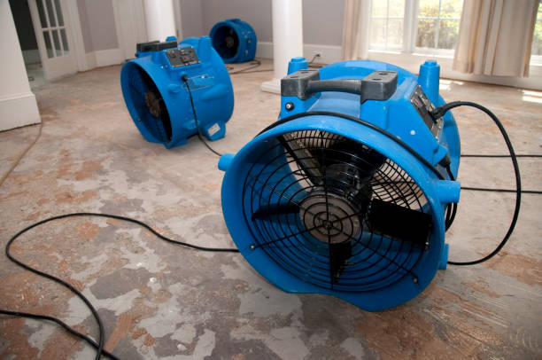 Best Professional water damage repair  in Ball Pond, CT