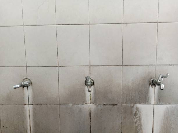 Best Sewage cleanup and water damage restoration  in Ball Pond, CT