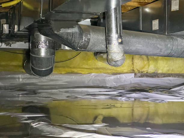 Best Water damage contractors near me  in Ball Pond, CT