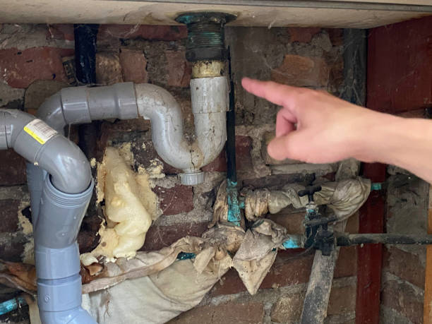 Best Water damage restoration process  in Ball Pond, CT