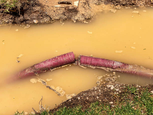 Water damage restoration process in Ball Pond, CT