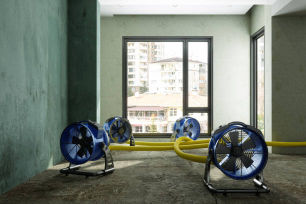 Best Professional water damage repair  in Ball Pond, CT